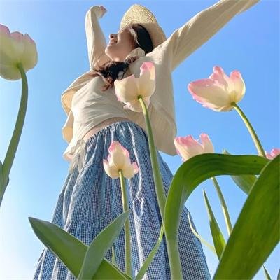 摄影师贝尔蒂与海豚零距离